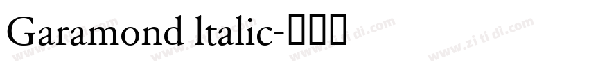 Garamond ltalic字体转换